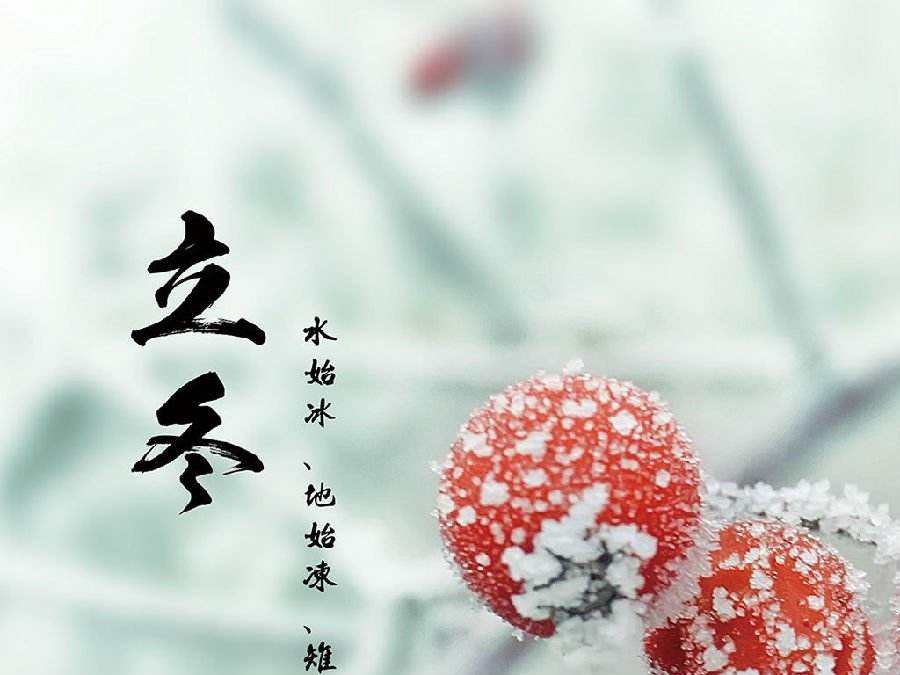 今日立冬，啟睿喊你吃餃子嘍